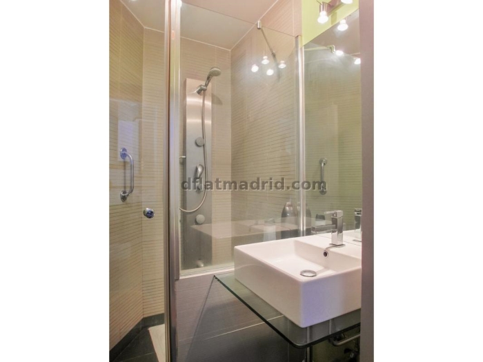 Apartment in Centro of 1 Bedroom #1299 in Madrid