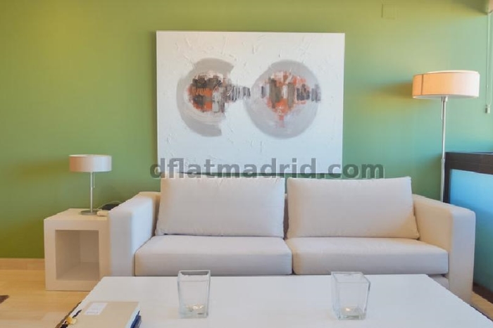 Spacious Apartment in Chamartin of 3 Bedrooms #1321 in Madrid