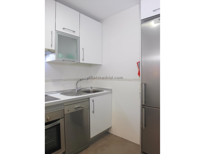 Apartamento en Chamartin de 1 Dormitorio #1327 en Madrid