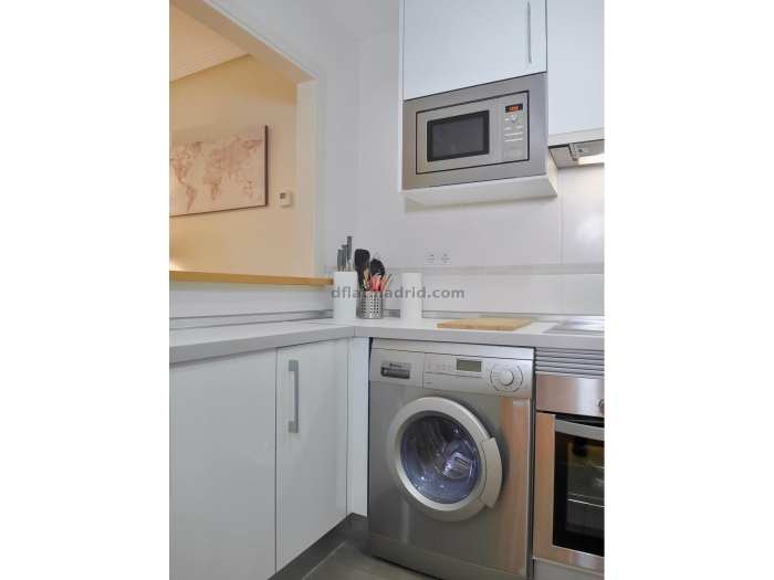 Apartamento en Chamartin de 1 Dormitorio #1327 en Madrid