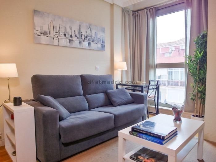 Apartamento en Chamartin de 1 Dormitorio #1327 en Madrid