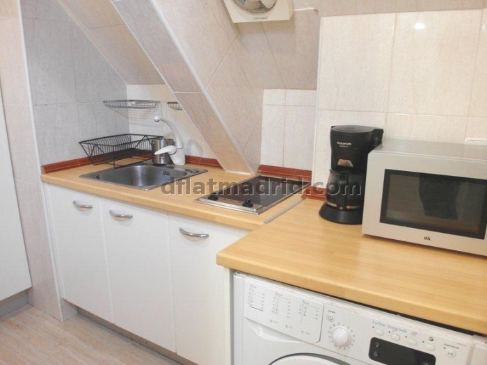 Bright Apartment in Chamartin of 2 Bedrooms #1360 in Madrid