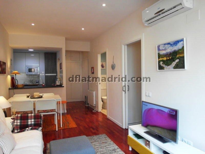 Apartamento Céntrico en Chamberi de 1 Dormitorio #1365 en Madrid