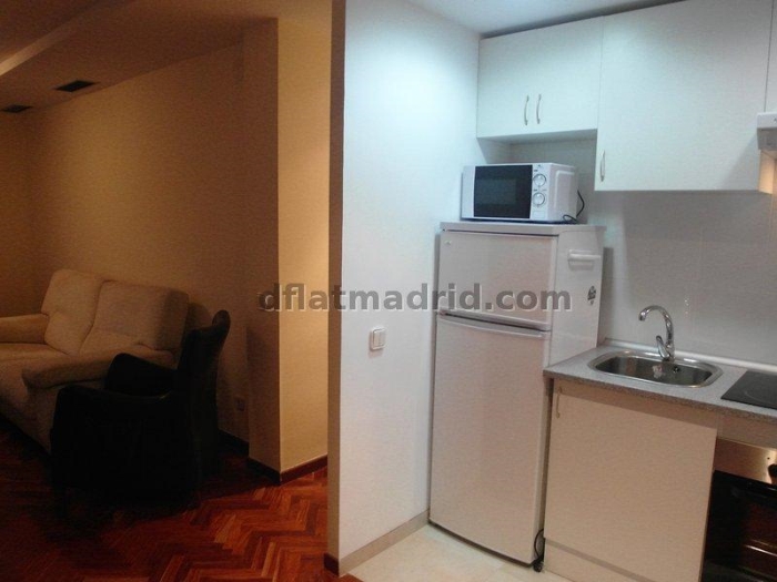 Apartamento Céntrico en Salamanca de 2 Dormitorios #1368 en Madrid