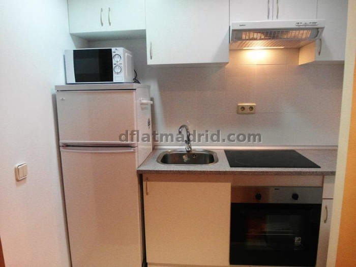 Central Apartment in Salamanca of 2 Bedrooms #1368 in Madrid