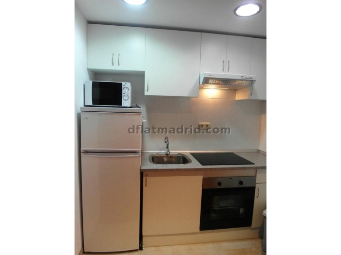 Apartamento Céntrico en Salamanca de 2 Dormitorios #1368 en Madrid