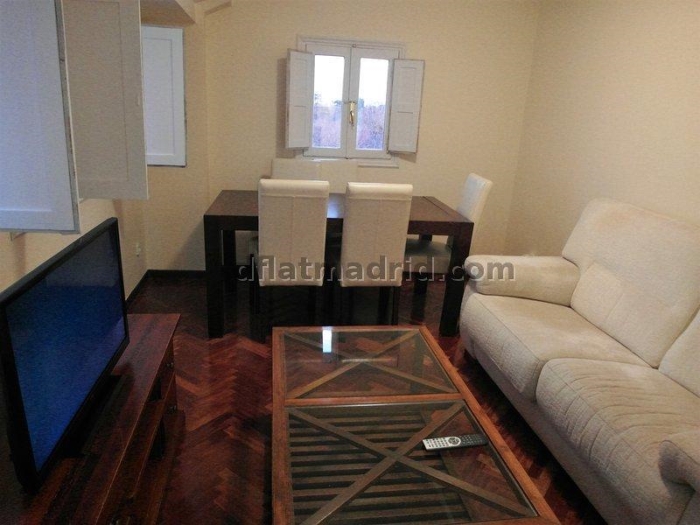 Central Apartment in Salamanca of 2 Bedrooms #1368 in Madrid