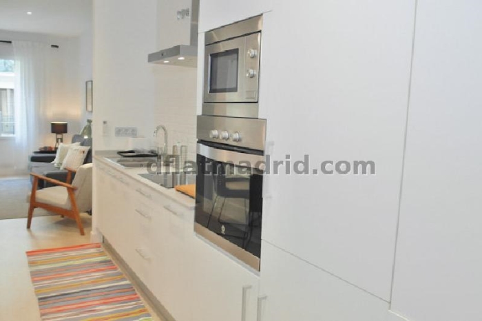 Apartamento Céntrico en Salamanca de 1 Dormitorio #1374 en Madrid