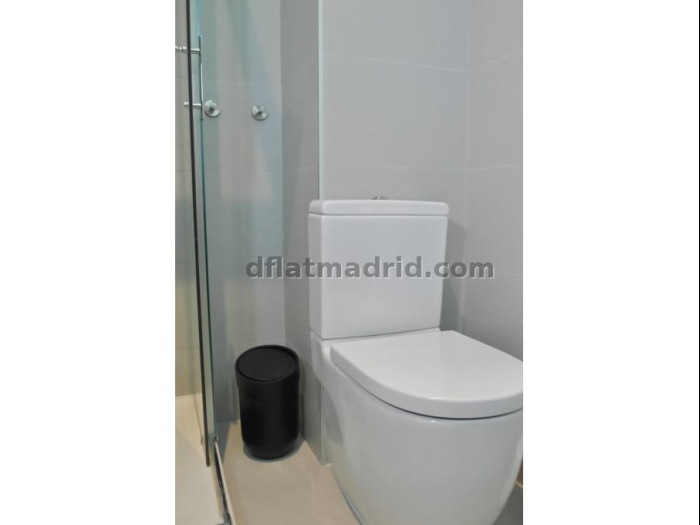 Apartamento Céntrico en Salamanca de 1 Dormitorio #1374 en Madrid