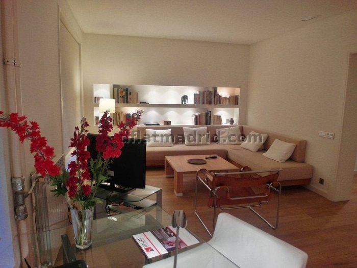 Central Apartment in Salamanca of 2 Bedrooms #1393 in Madrid