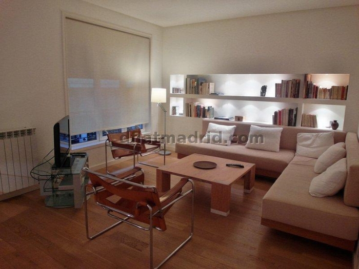 Central Apartment in Salamanca of 2 Bedrooms #1393 in Madrid