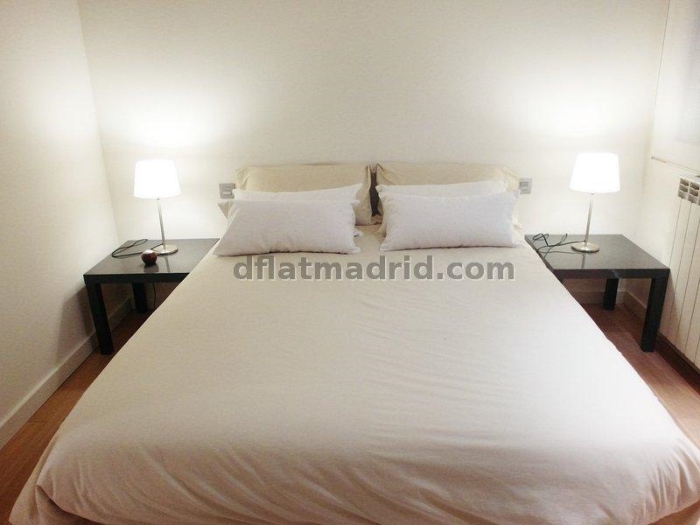 Apartamento Céntrico en Salamanca de 2 Dormitorios #1393 en Madrid