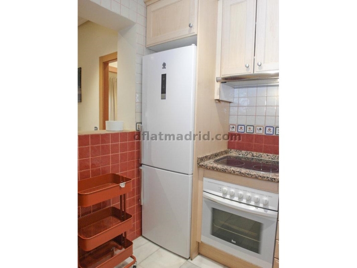 Bright Apartment in Chamartin of 1 Bedroom #1538 in Madrid