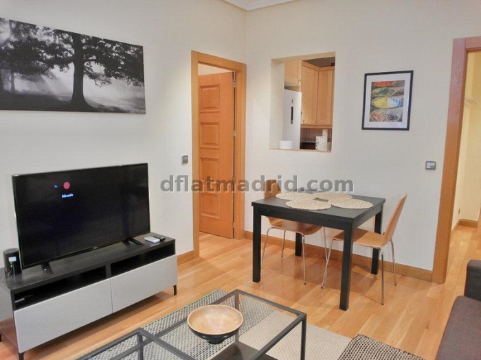 Bright Apartment in Chamartin of 1 Bedroom #1538 in Madrid