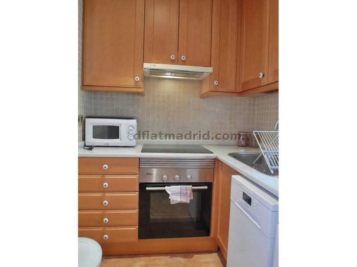 Spacious Apartment in Chamartin of 2 Bedrooms #1539 in Madrid