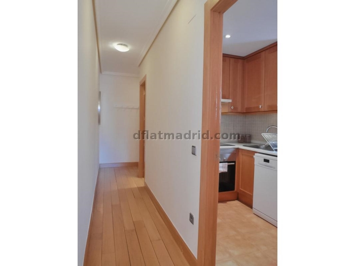 Spacious Apartment in Chamartin of 2 Bedrooms #1539 in Madrid