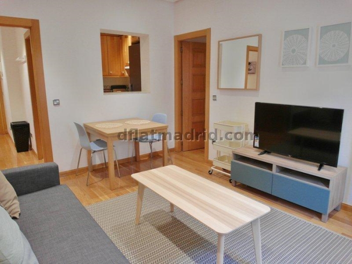 Apartamento Luminoso en Chamartin de 1 Dormitorio #1542 en Madrid