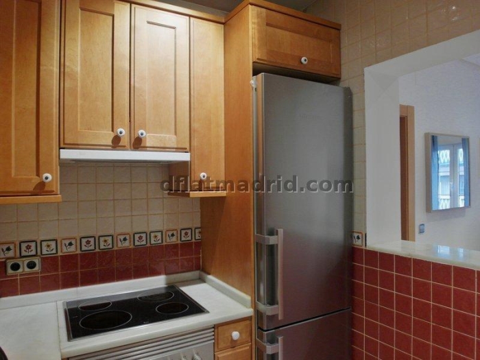 Apartamento Luminoso en Chamartin de 1 Dormitorio #1542 en Madrid