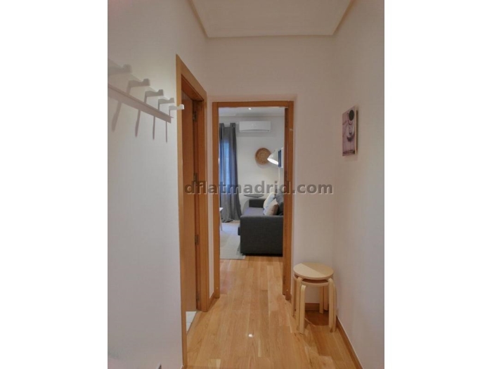 Apartamento Luminoso en Chamartin de 1 Dormitorio #1542 en Madrid