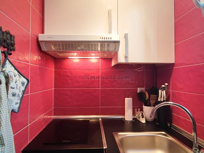 Apartamento Céntrico en Chamberi de 1 Dormitorio #1546 en Madrid