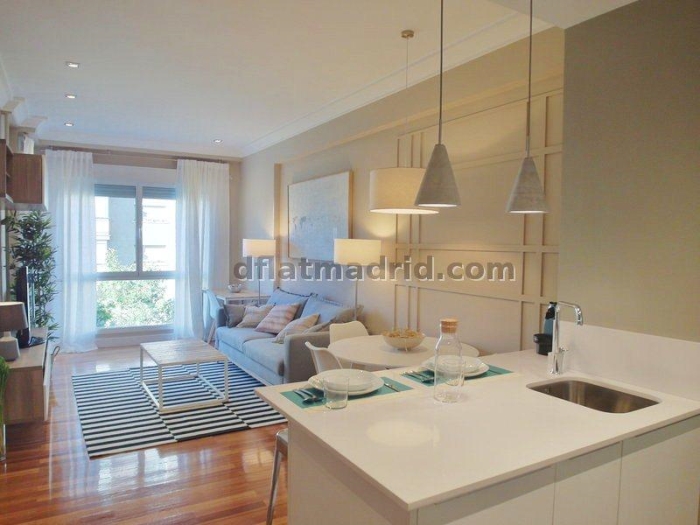 Apartamento Luminoso en Chamartin de 1 Dormitorio #1559 en Madrid