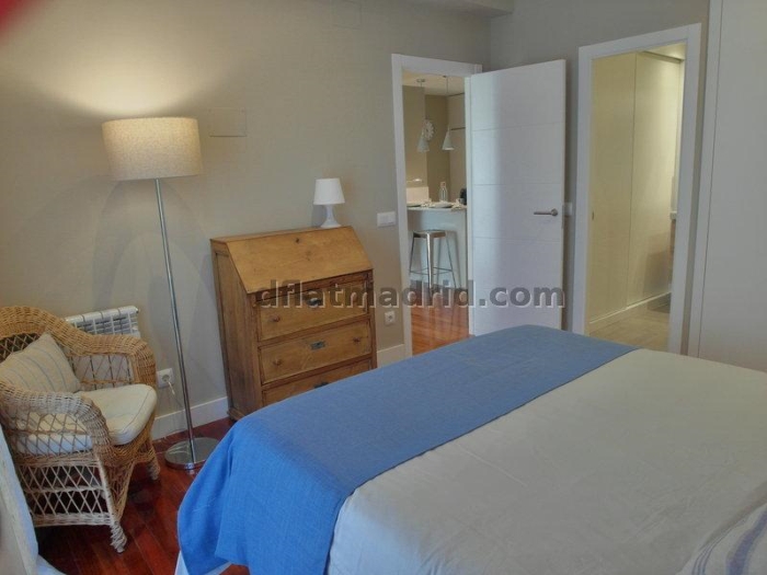 Apartamento Luminoso en Chamartin de 1 Dormitorio #1559 en Madrid