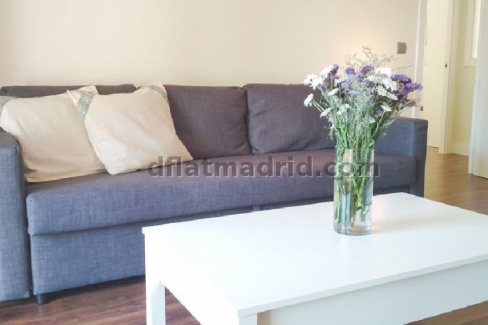 Apartamento Amplio en Hortaleza de 2 Dormitorios con terraza #1704 en Madrid