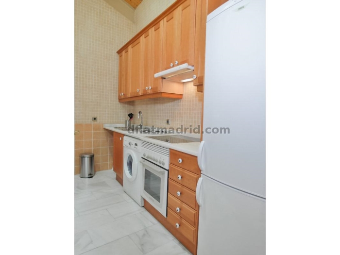 Apartamento en Chamartin de 1 Dormitorio #1727 en Madrid