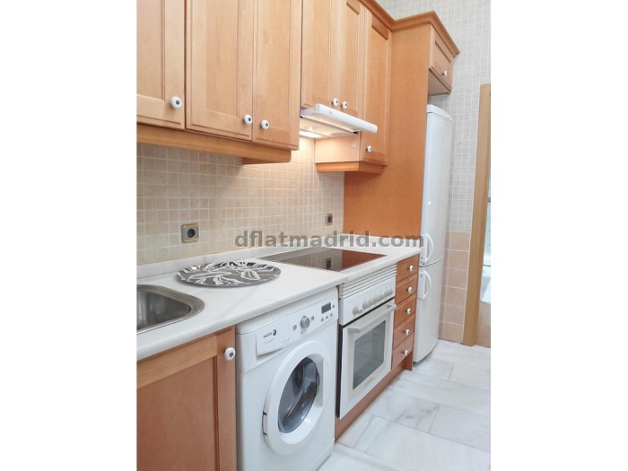 Apartamento en Chamartin de 1 Dormitorio #1727 en Madrid