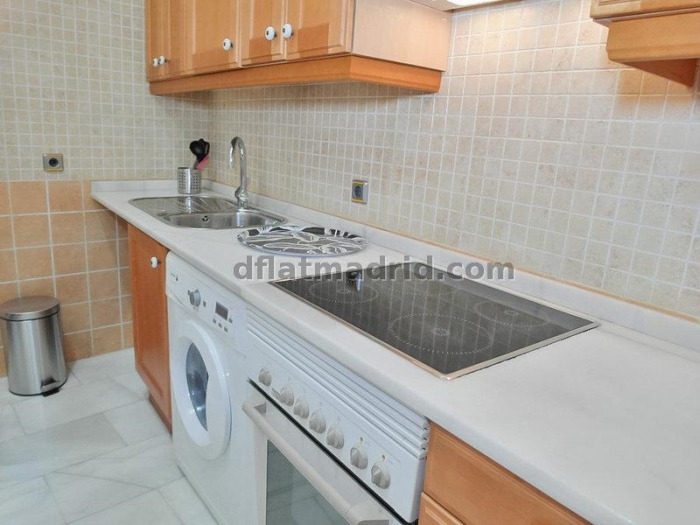 Apartamento en Chamartin de 1 Dormitorio #1727 en Madrid