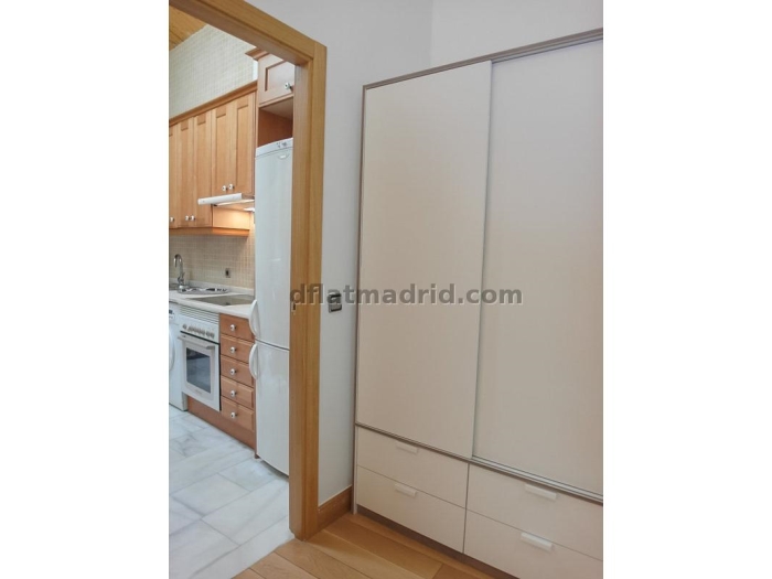 Apartamento en Chamartin de 1 Dormitorio #1727 en Madrid