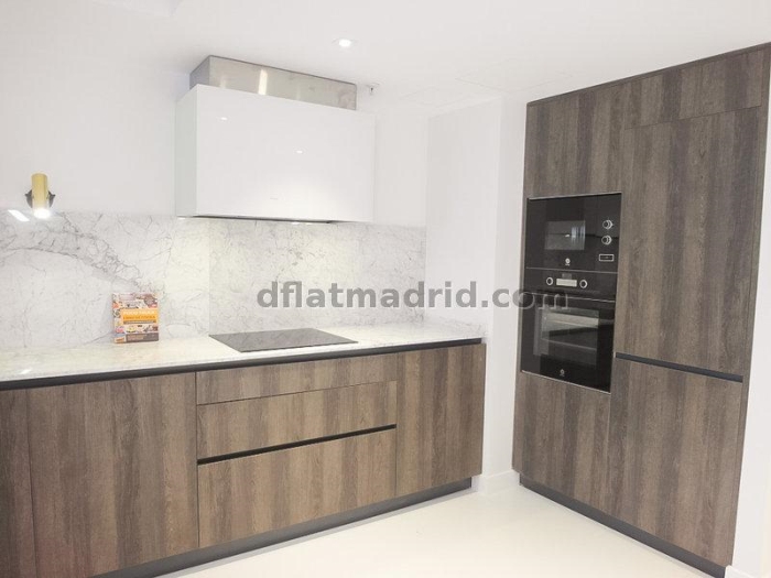 Apartamento Luminoso en Chamartin de 1 Dormitorio #1739 en Madrid