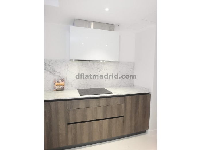 Apartamento Luminoso en Chamartin de 1 Dormitorio #1739 en Madrid