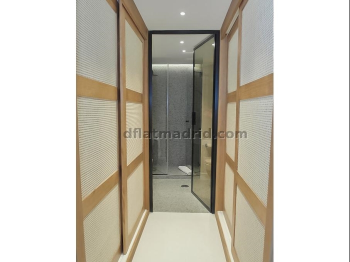 Apartamento Luminoso en Chamartin de 1 Dormitorio #1739 en Madrid