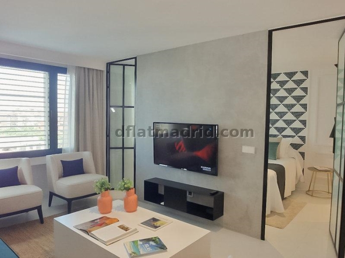 Apartamento Luminoso en Chamartin de 1 Dormitorio #1739 en Madrid