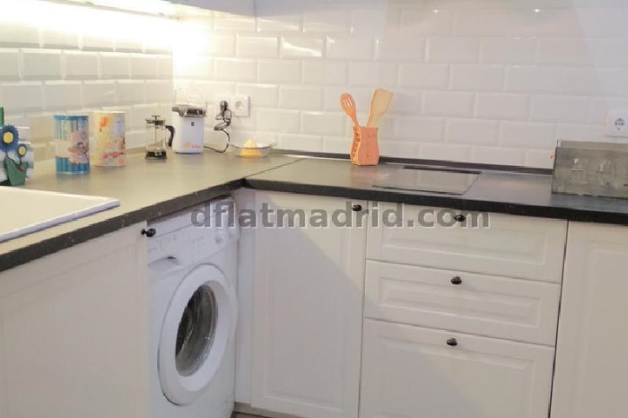 Apartamento Tranquilo en Moncloa de 2 Dormitorios #1741 en Madrid