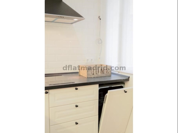 Apartamento Tranquilo en Moncloa de 2 Dormitorios #1741 en Madrid