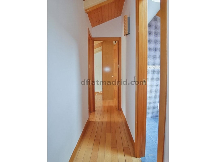 Spacious Apartment in Chamartin of 2 Bedrooms #1743 in Madrid