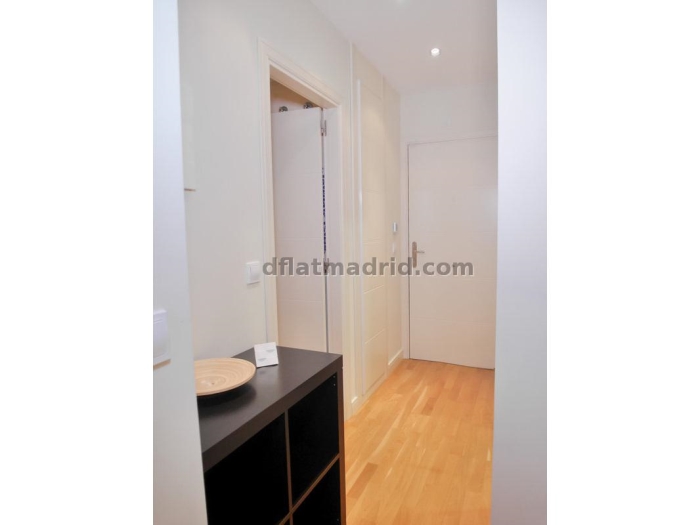 Apartamento Tranquilo en Chamartin de 1 Dormitorio con terraza #694 en Madrid