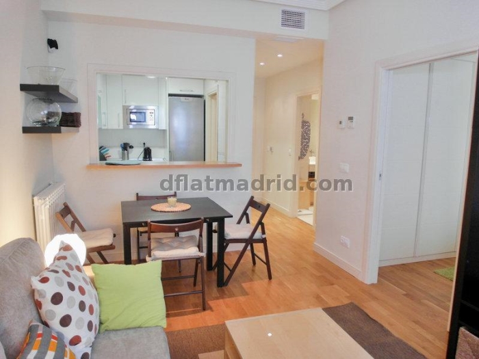 Apartamento Tranquilo en Chamartin de 1 Dormitorio #695 en Madrid