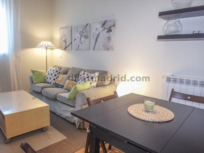 Apartamento Tranquilo en Chamartin de 1 Dormitorio #695 en Madrid