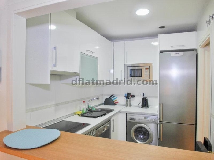 Apartamento Tranquilo en Chamartin de 1 Dormitorio #695 en Madrid