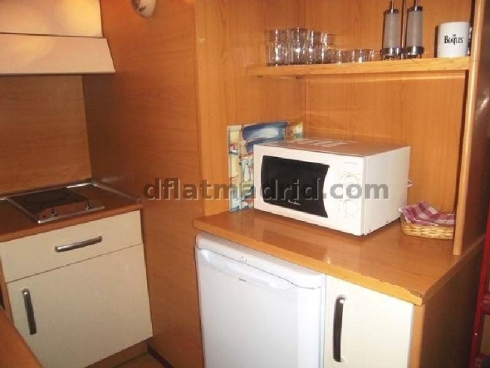 Apartamento Céntrico en Salamanca de 1 Dormitorio #841 en Madrid