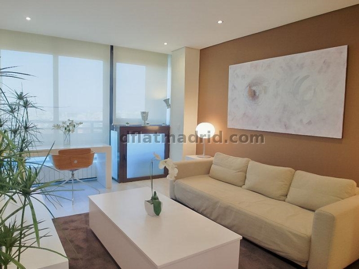 Studio in Chamartin #854 in Madrid