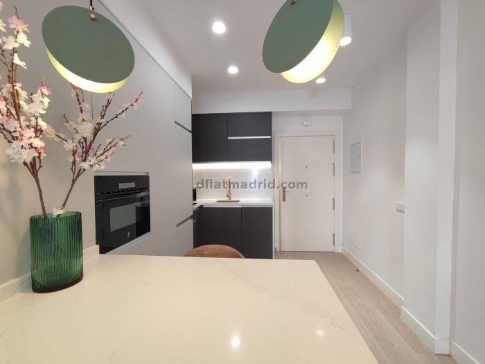 Apartamento Luminoso en Chamartin de 1 Dormitorio #855 en Madrid