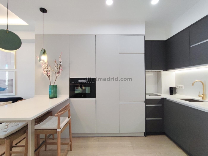 Bright Apartment in Chamartin of 1 Bedroom #855 in Madrid