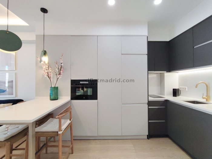 Apartamento Luminoso en Chamartin de 1 Dormitorio #855 en Madrid