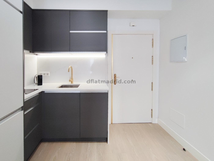 Apartamento Luminoso en Chamartin de 1 Dormitorio #855 en Madrid