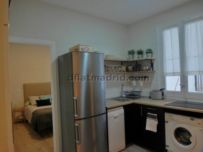 Apartamento Céntrico en Salamanca de 1 Dormitorio #1576 en Madrid