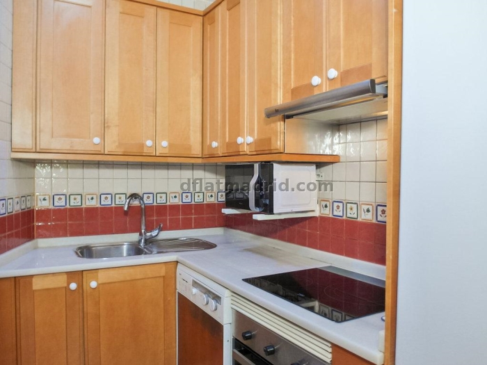 Apartamento Tranquilo en Chamartin de 1 Dormitorio #1587 en Madrid